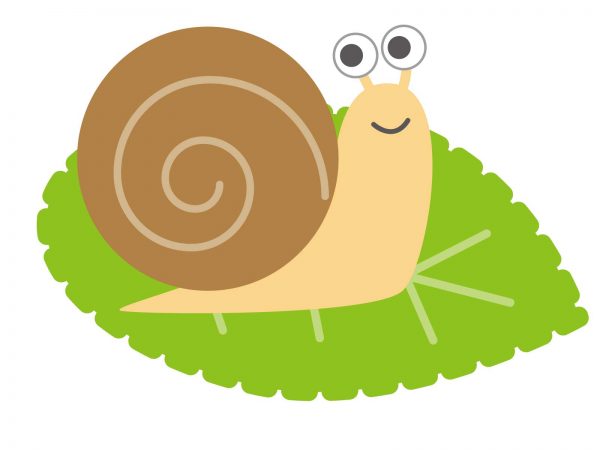 センターピーストレーナーのブログに学ぶ